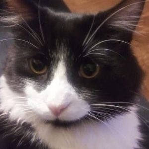 Meet your Posher, Glenda